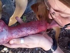 Fucking bestiality tube