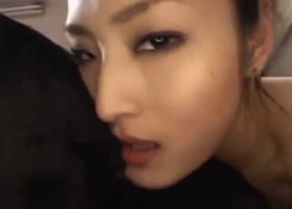 Japanese stunner playing with a black dog