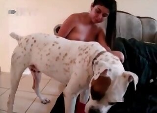 Doggo ravages this chick's hot hole