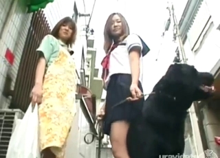 Japanese stepsisters want to fuck all dogs