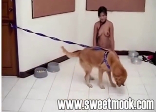 Shit-eating girl is ready to show you her skills