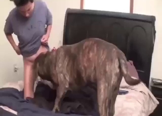 Zoo porn with sodomy, Asian guy gets ruined