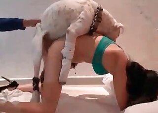 Dog enjoys sex in doggy style pose - 일본 동물 포르노 