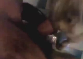 Japanese porn movie with close-ups, hot beasts