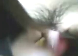 Zoo XXX masterwork with a hot Asian girlie